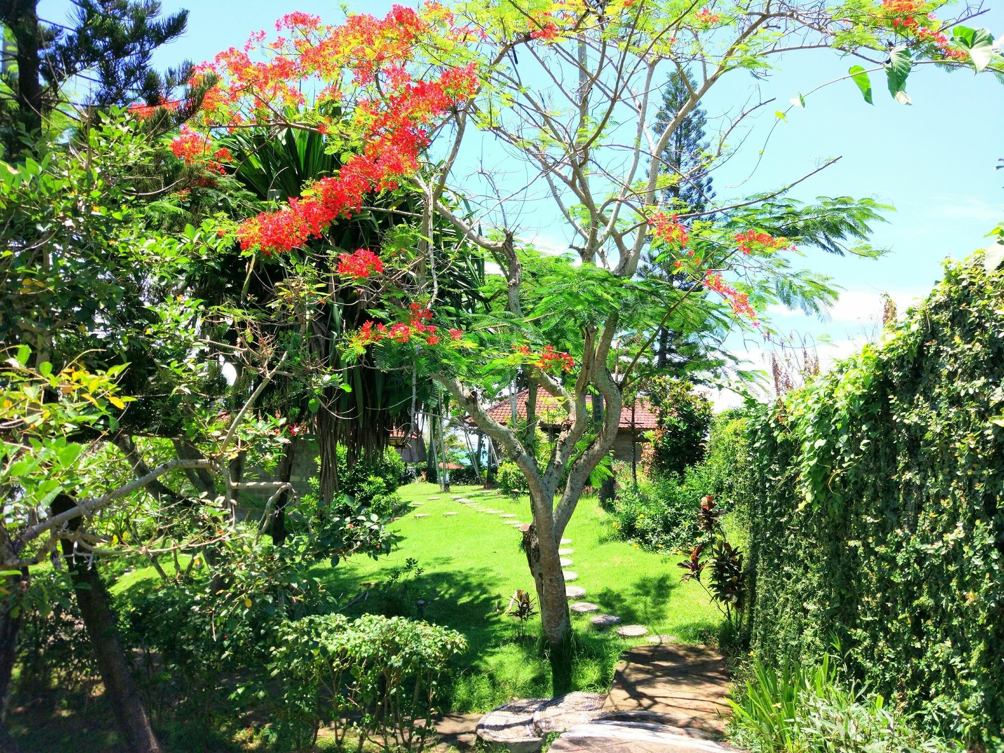 Gajah Mina Beach Resort Selemadeg  Exterior foto