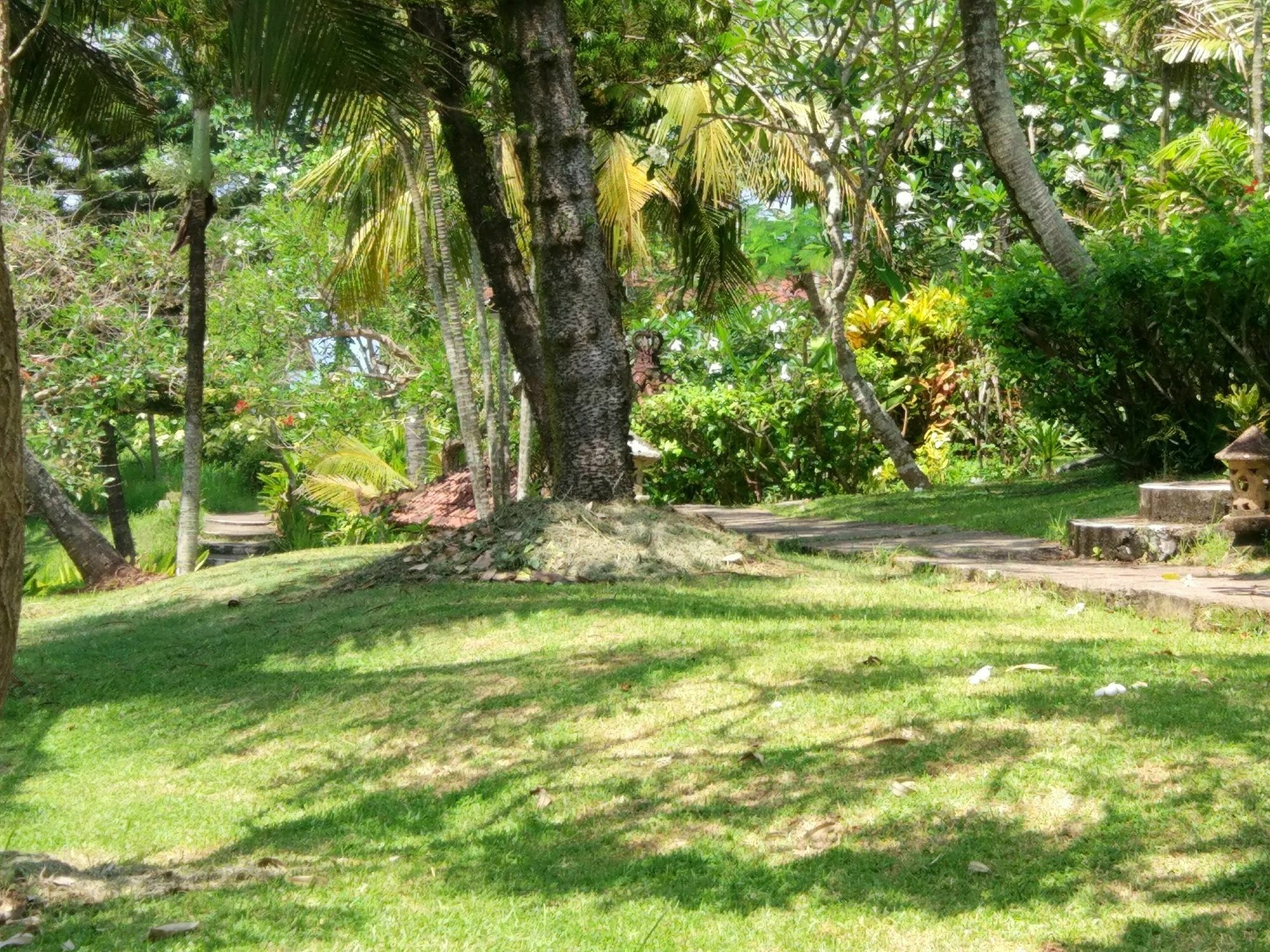 Gajah Mina Beach Resort Selemadeg  Exterior foto